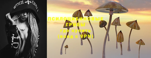 круглые Белокуриха